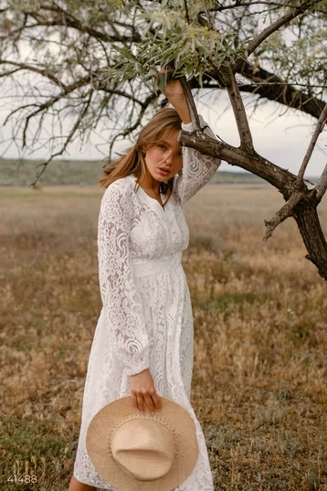 Delicate lace dress (№ 41488) ♡ Gepur - women clothes store