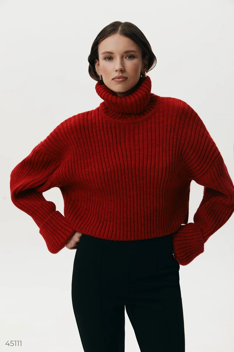 Червоний кроп-светр із високою горловиною фотографія 3