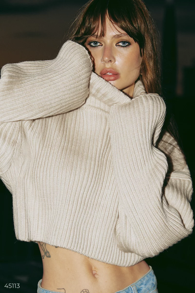 Beige high neck crop sweater photo 1