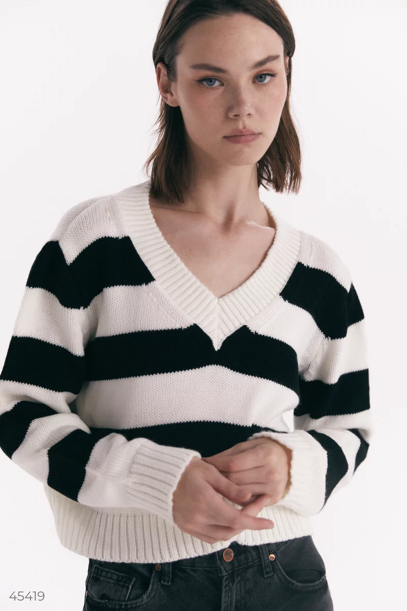Pullover in black and white stripes photo 1