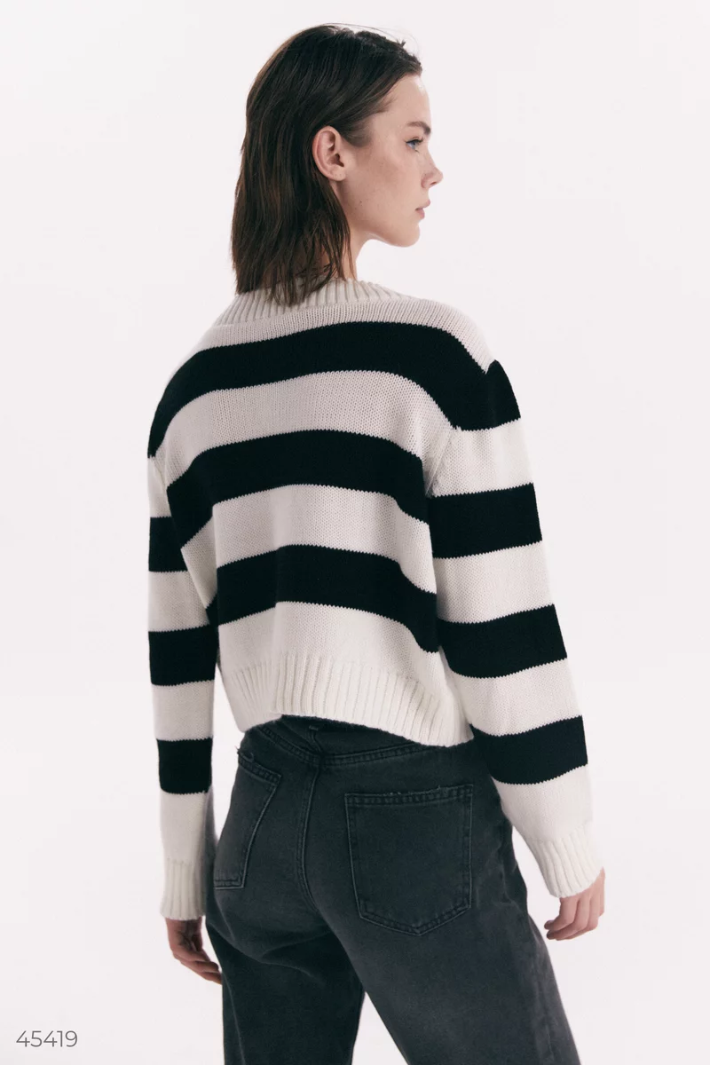 Pullover in black and white stripes photo 5