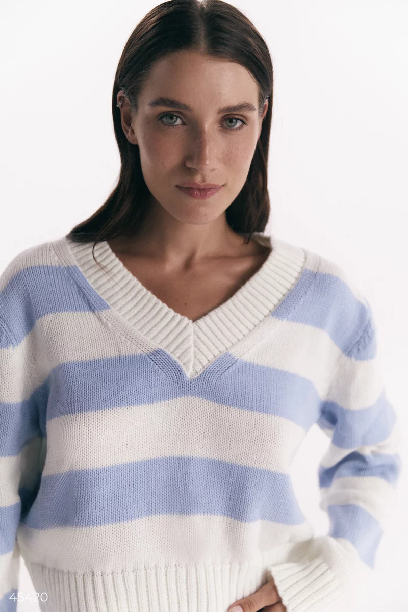 Пуловер у блакитну смужку фотографія 3