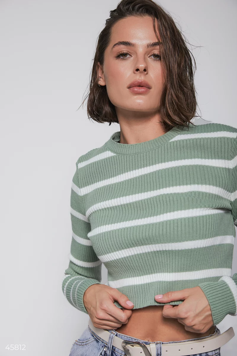 Short mint striped sweater photo 3