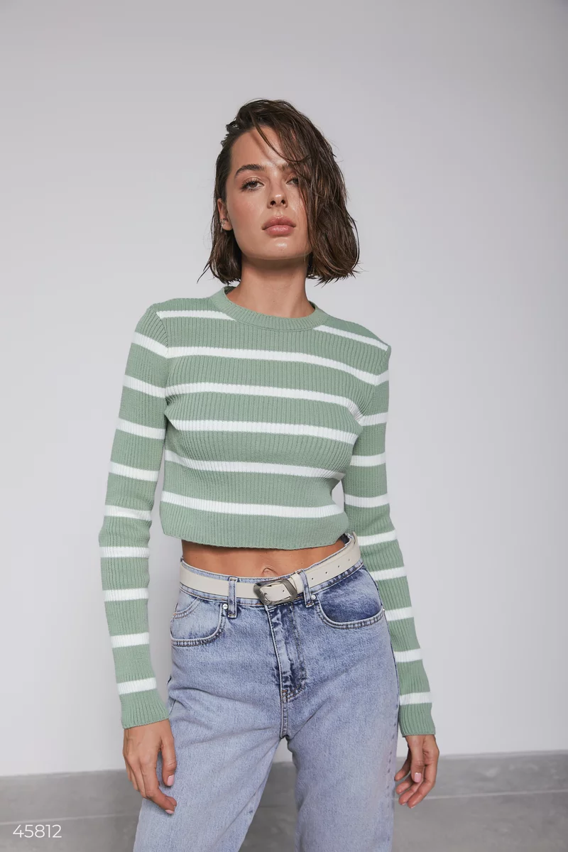 Short mint striped sweater photo 5